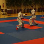 Combat