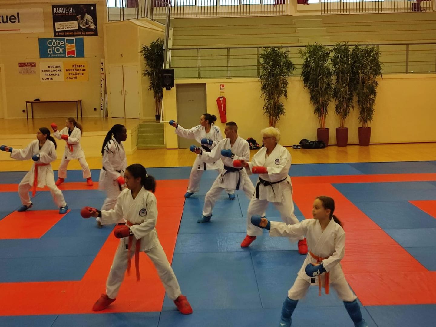 Stage kumite 2