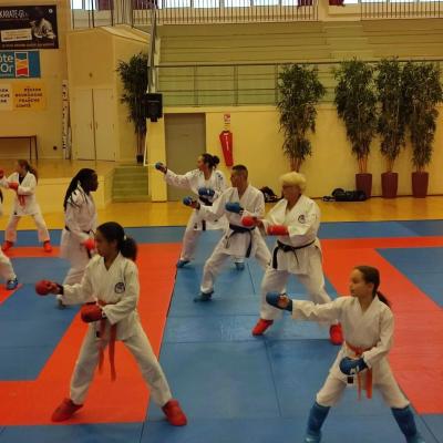 Stage kumite 2